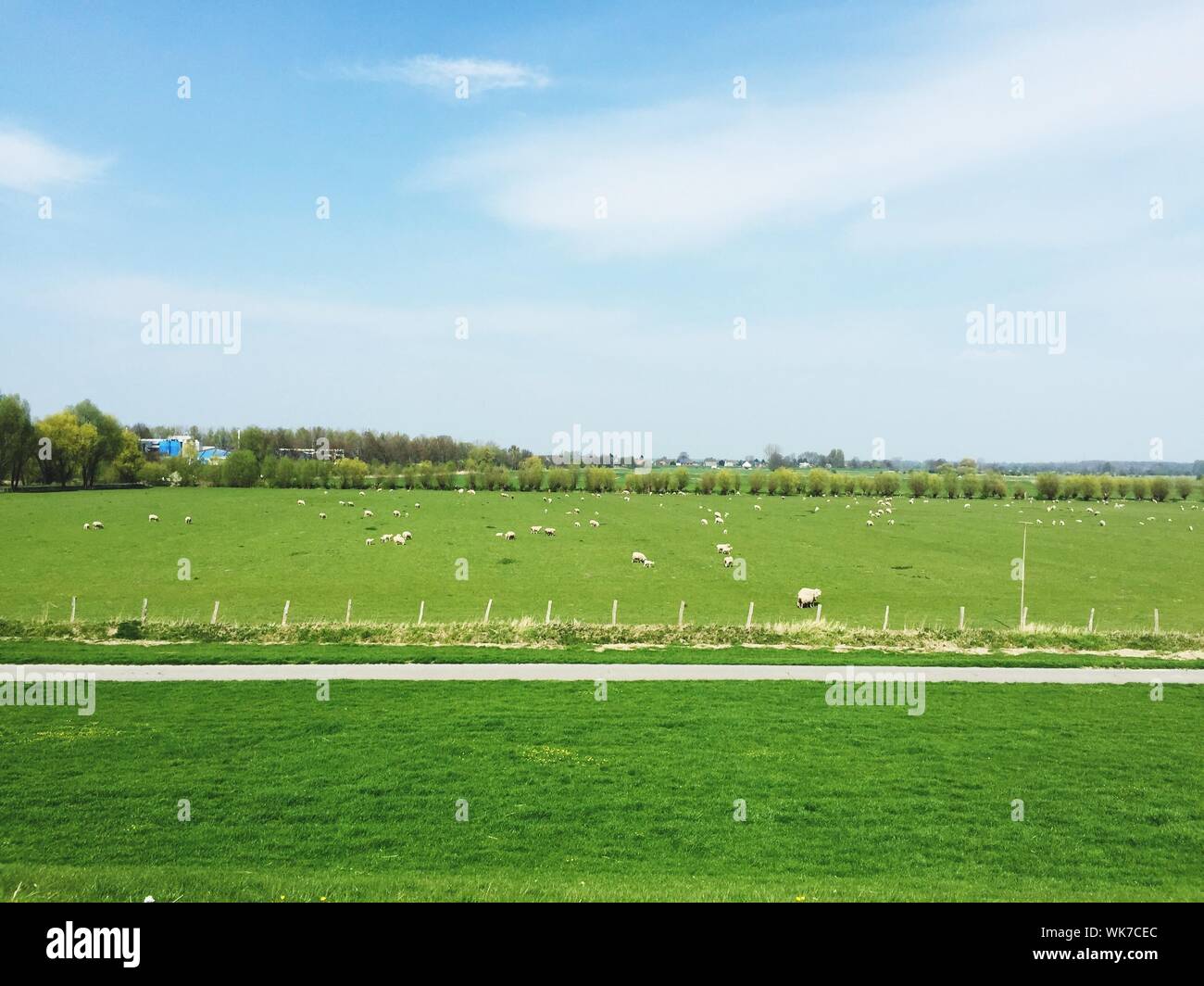 Cloudy Sky Above Green Pasture Stock Photo