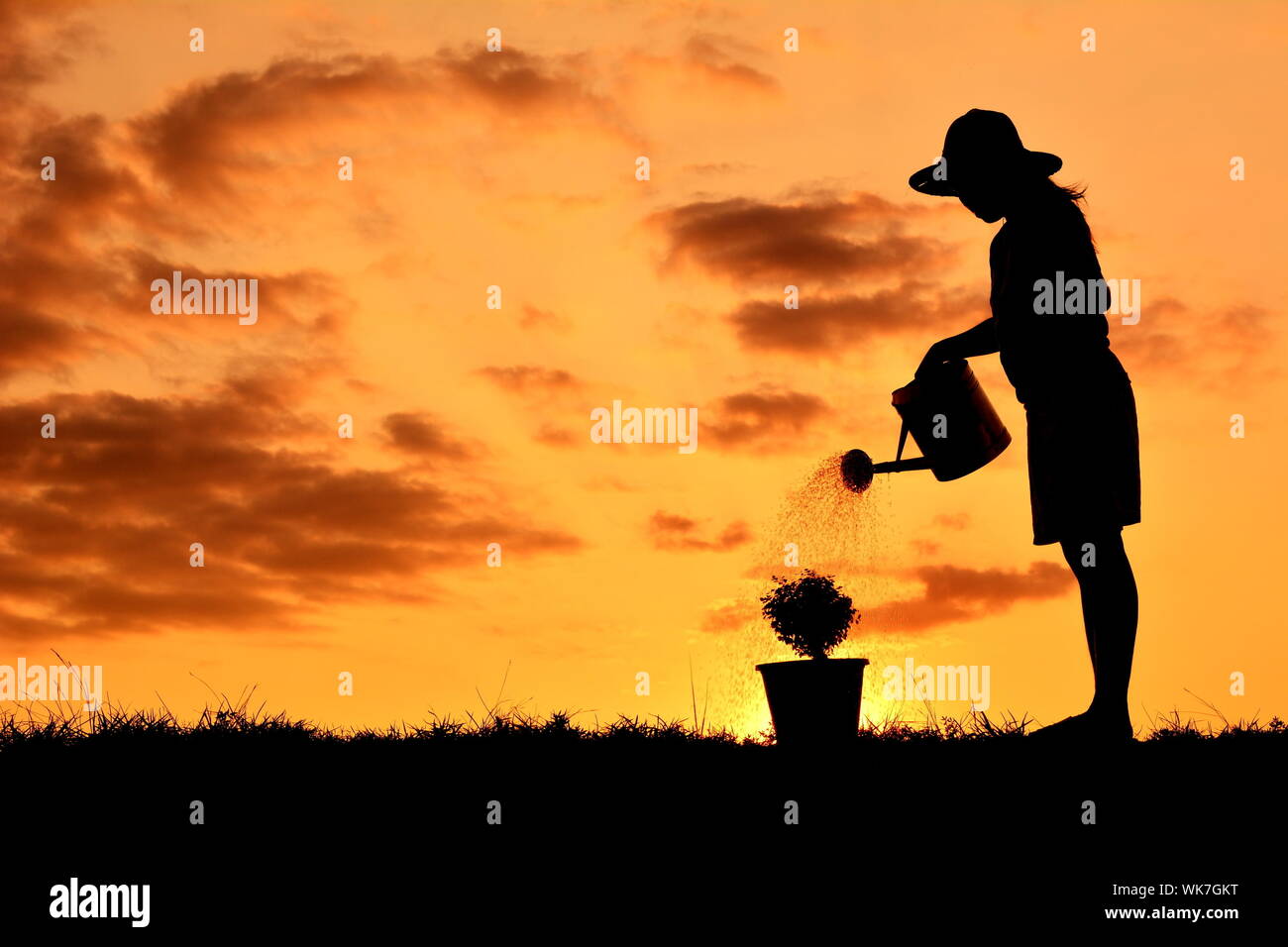 Silhouette Of Woman Watering Potted Plant Stock Photo
