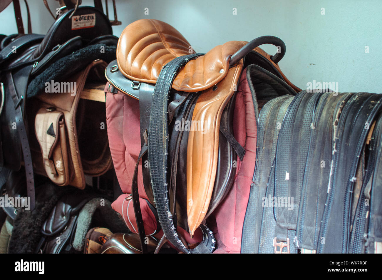 View of saddles hanging in stable Stock Photo