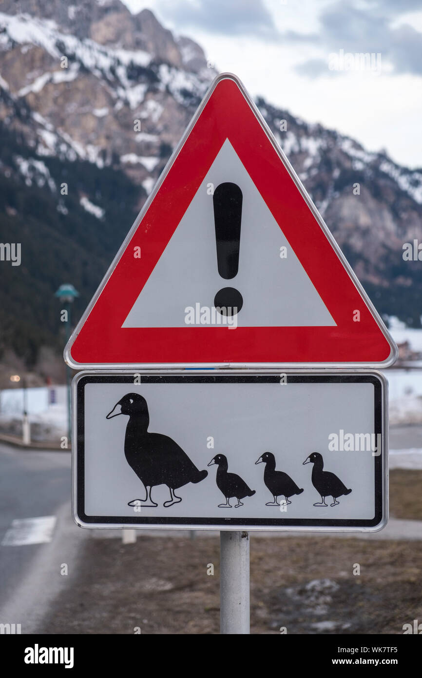 Schild Achtung Enten überqueren Straße Stock Photo