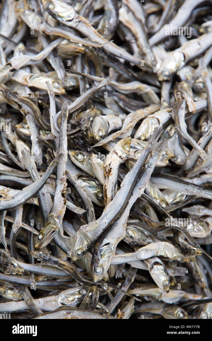 Dried Sardines background Stock Photo Alamy