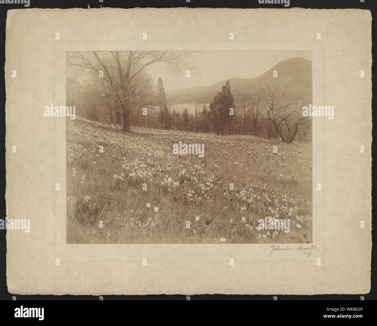 J.P. Estate, Cragston, on the Hudson / JohnstonHewitt, N.Y