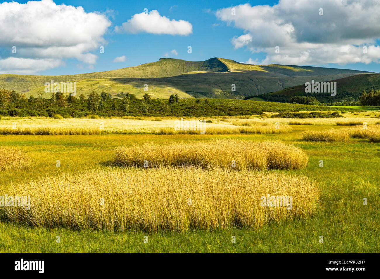 Pen y Fan and Corn Du from Mynydd Illtyd Common in the Brecon Beacons