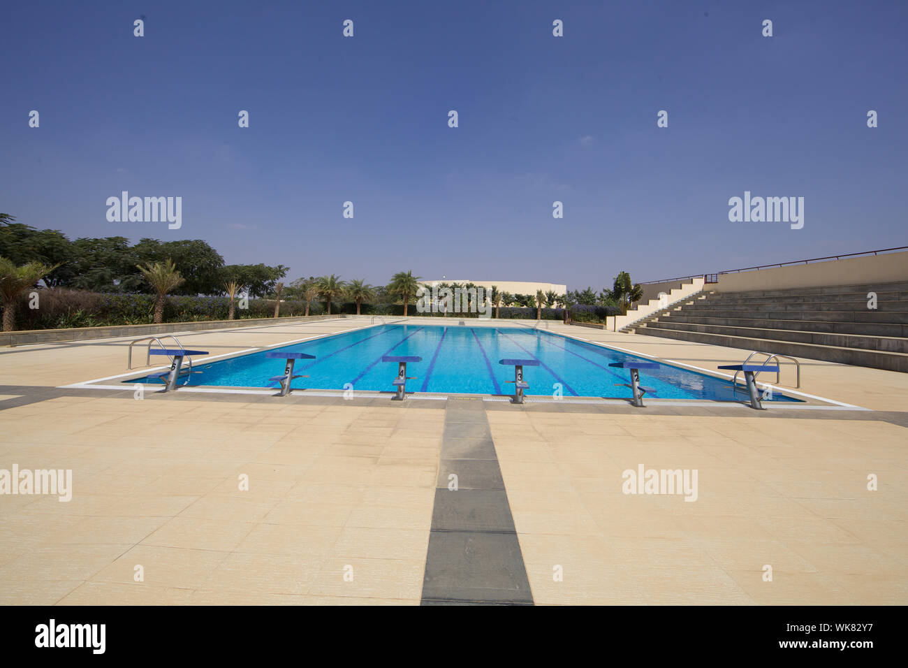 Swimming pool start line Stock Photo Alamy