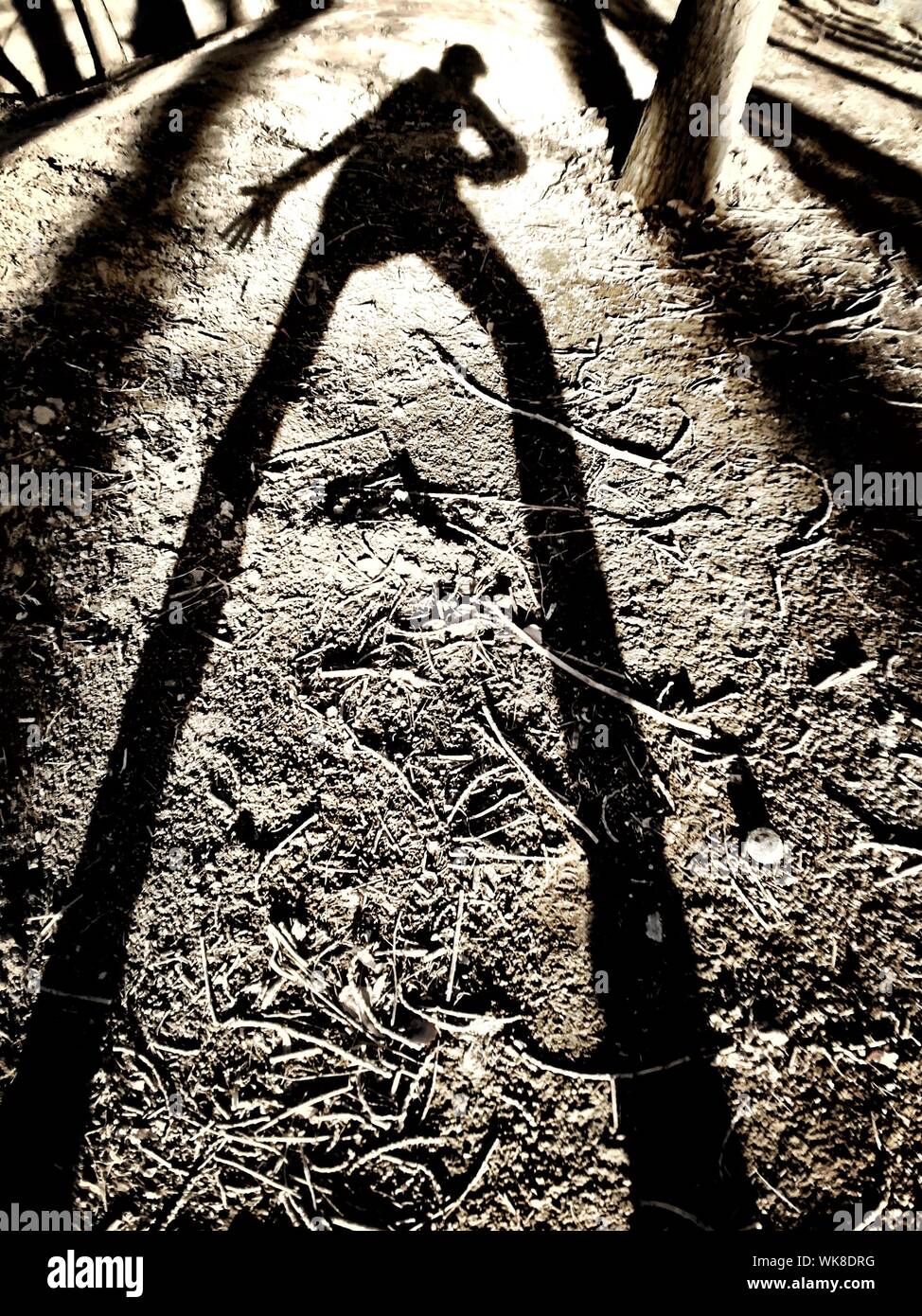 Tall shadow man hi-res stock photography and images - Alamy