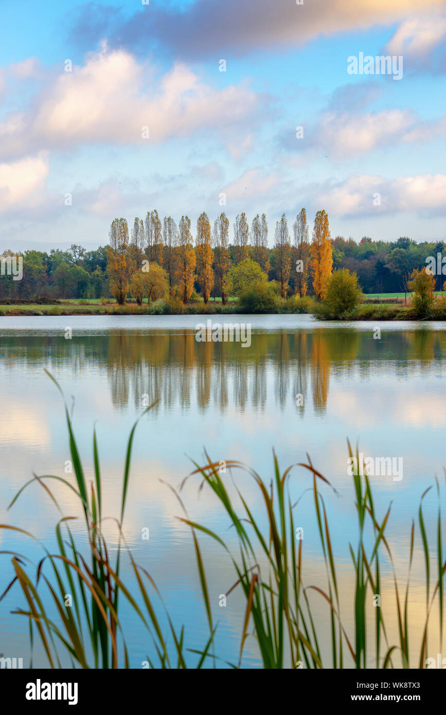 Trees and clouds reflections on a pond in autumn, Burgundy, France Stock Photo