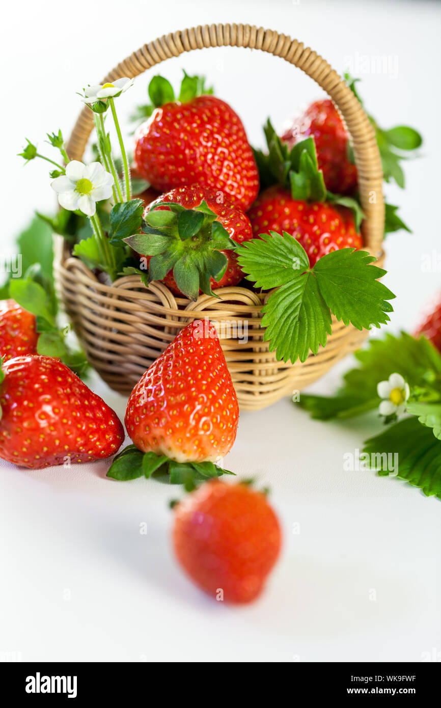 Fresh ripe strawberries with leaves and blossom Stock Photo - Alamy