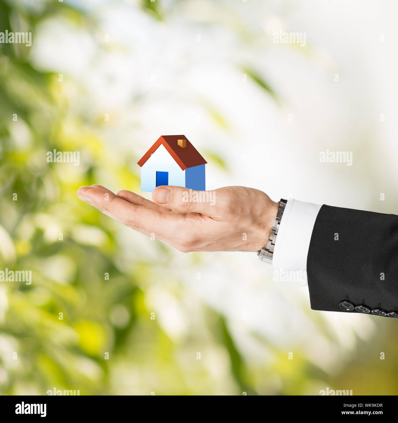 man hands holding eco house Stock Photo