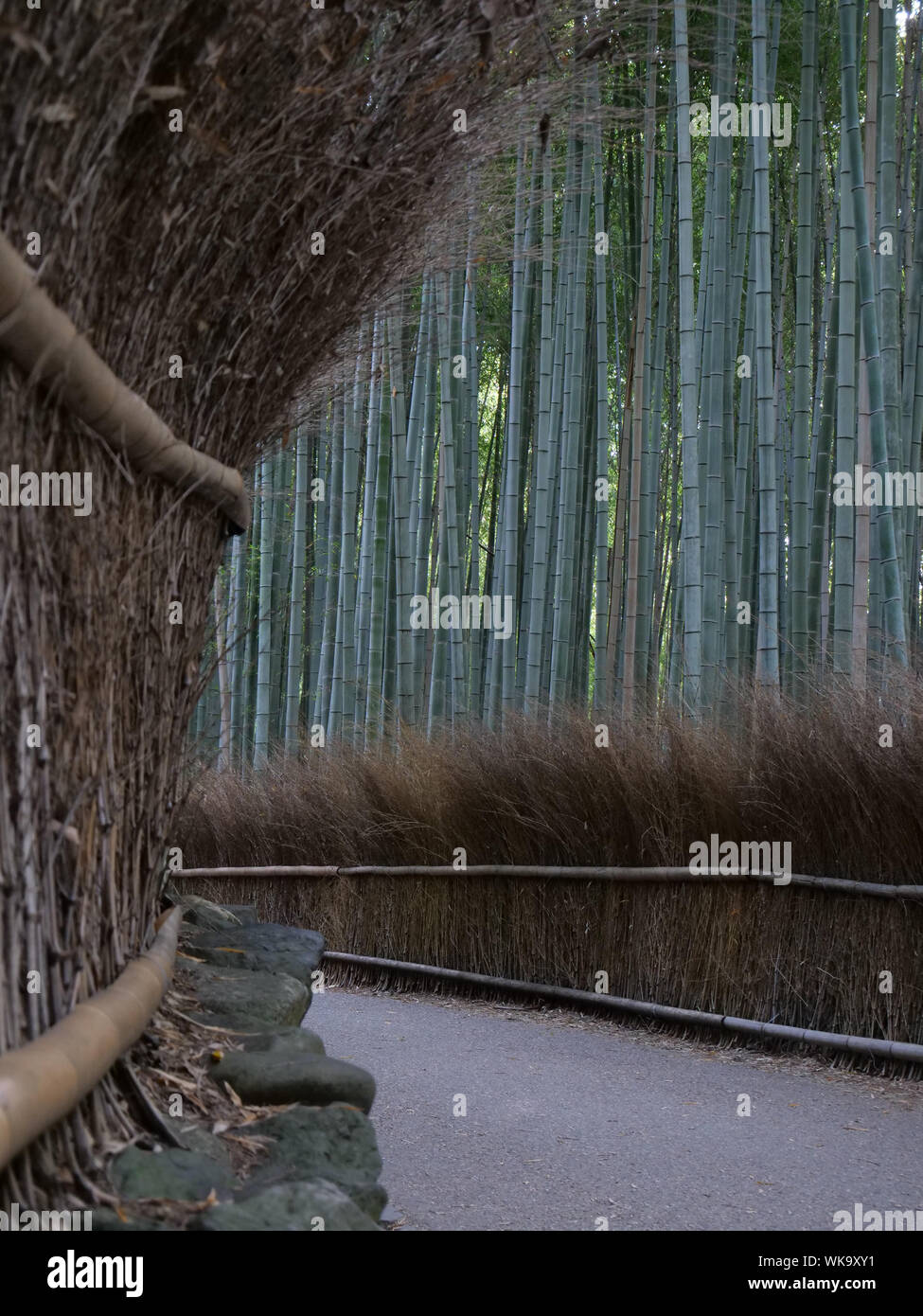 JAPAN - photo by Sean Sprague  Arashiyama, Kyoto. Bamboo Grove. Stock Photo