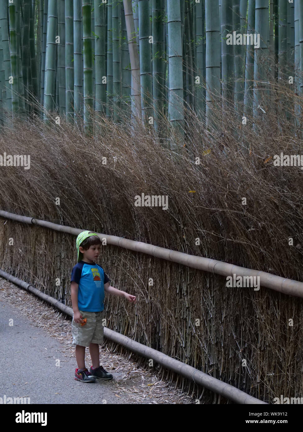 JAPAN - photo by Sean Sprague  Arashiyama, Kyoto. Bamboo Grove. Stock Photo