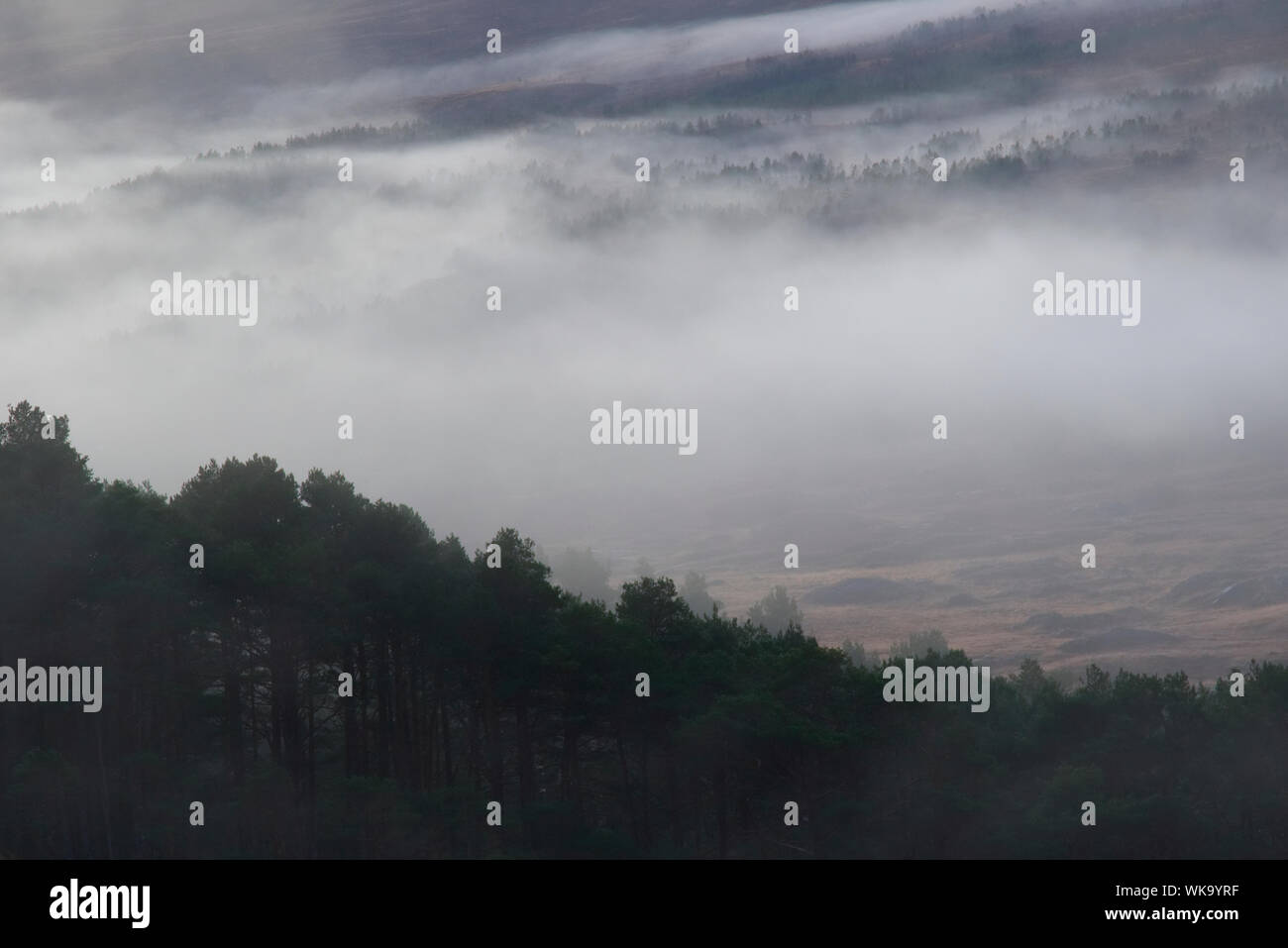 Mist in Glen Cassley, Sutherland Stock Photo