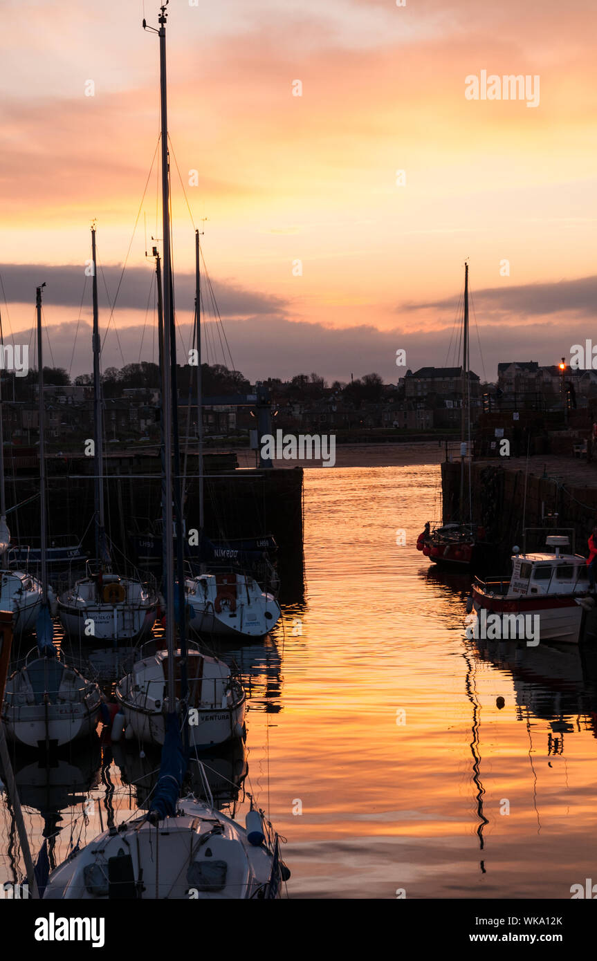 Boats and yachts in the harbour North Berwick East Lothian at sunset Scotland Stock Photo
