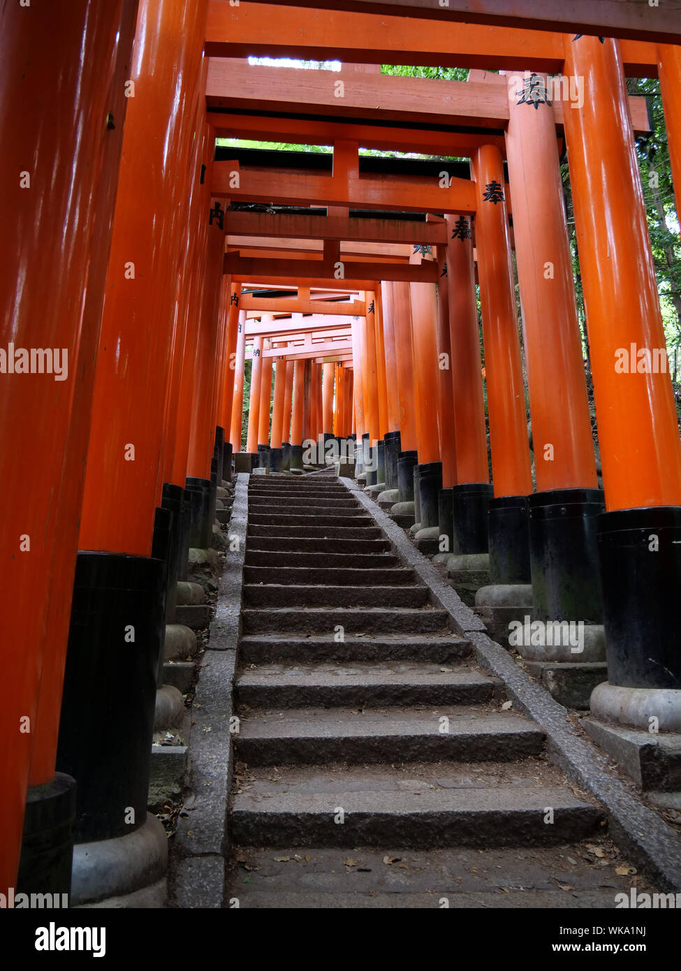 JAPAN - photo by Sean Sprague  Kyoto. Fushimi Inari-Taishi shrine with its vermilion torii (gates). Stock Photo