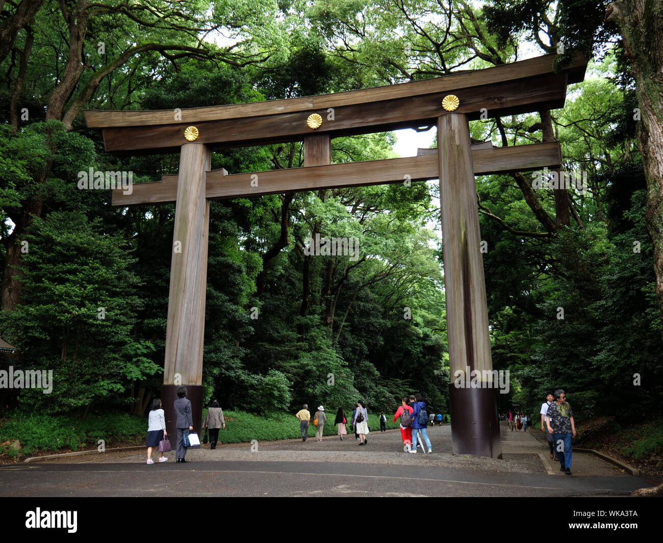 JAPAN - photo by Sean Sprague  Meiji Jingu Shinto shrine and gardens, Harajuku, Tokyo. Torii, gate. Stock Photo