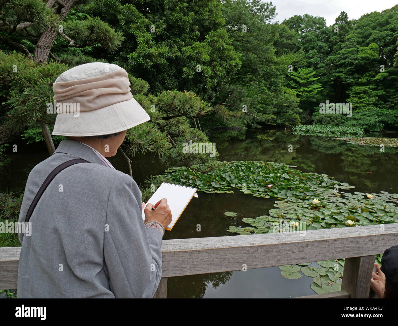 JAPAN - photo by Sean Sprague  Meiji Jingu Shinto shrine and gardens, Harajuku, Tokyo. Woman sketching. Stock Photo