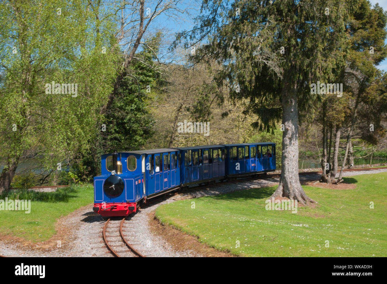 Narrow Guage Railway Bicton Park Budleigh Salterton Devon England Stock Photo