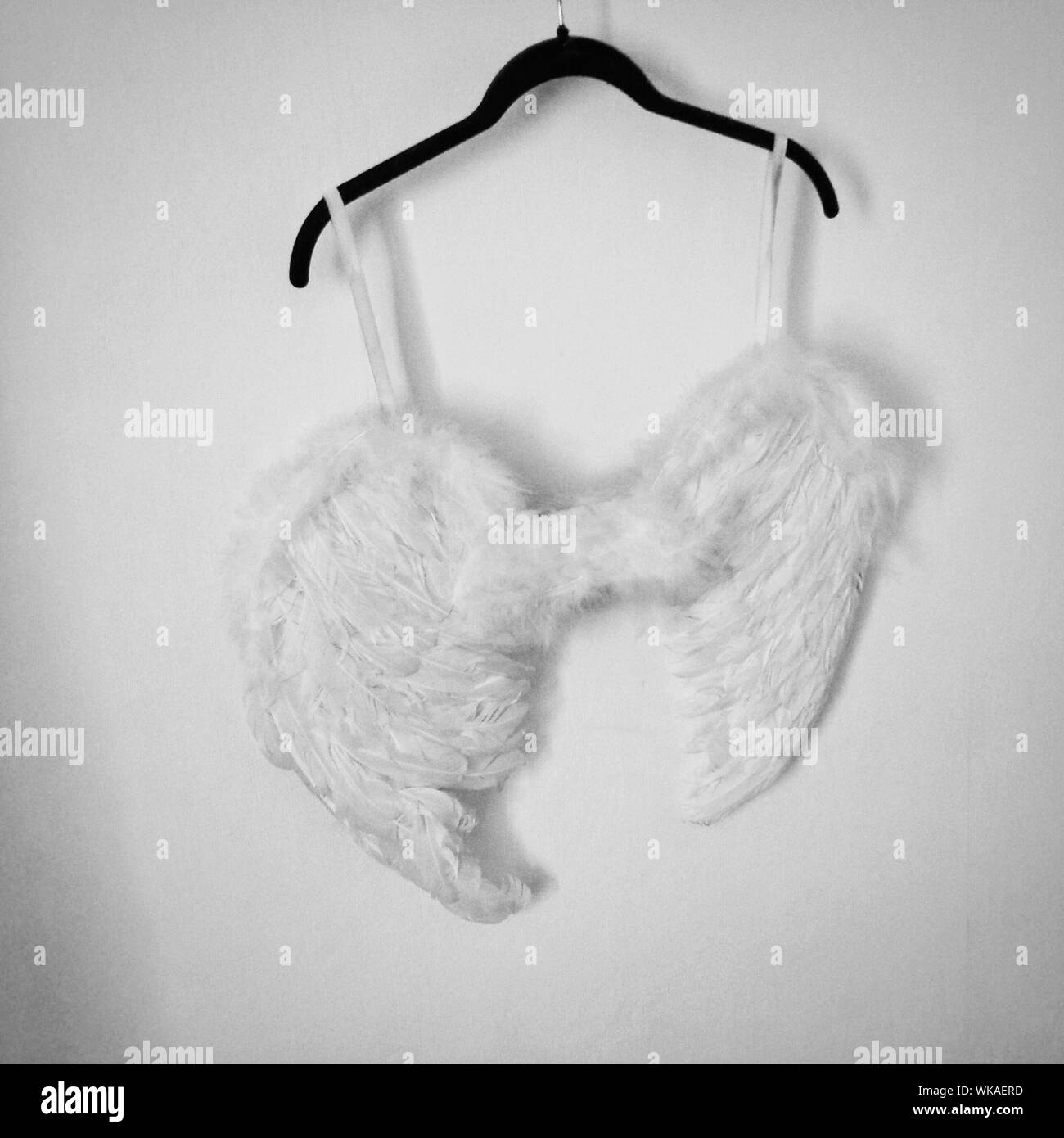 Feather Angel Wings High Resolution Stock Photography and Images - Alamy