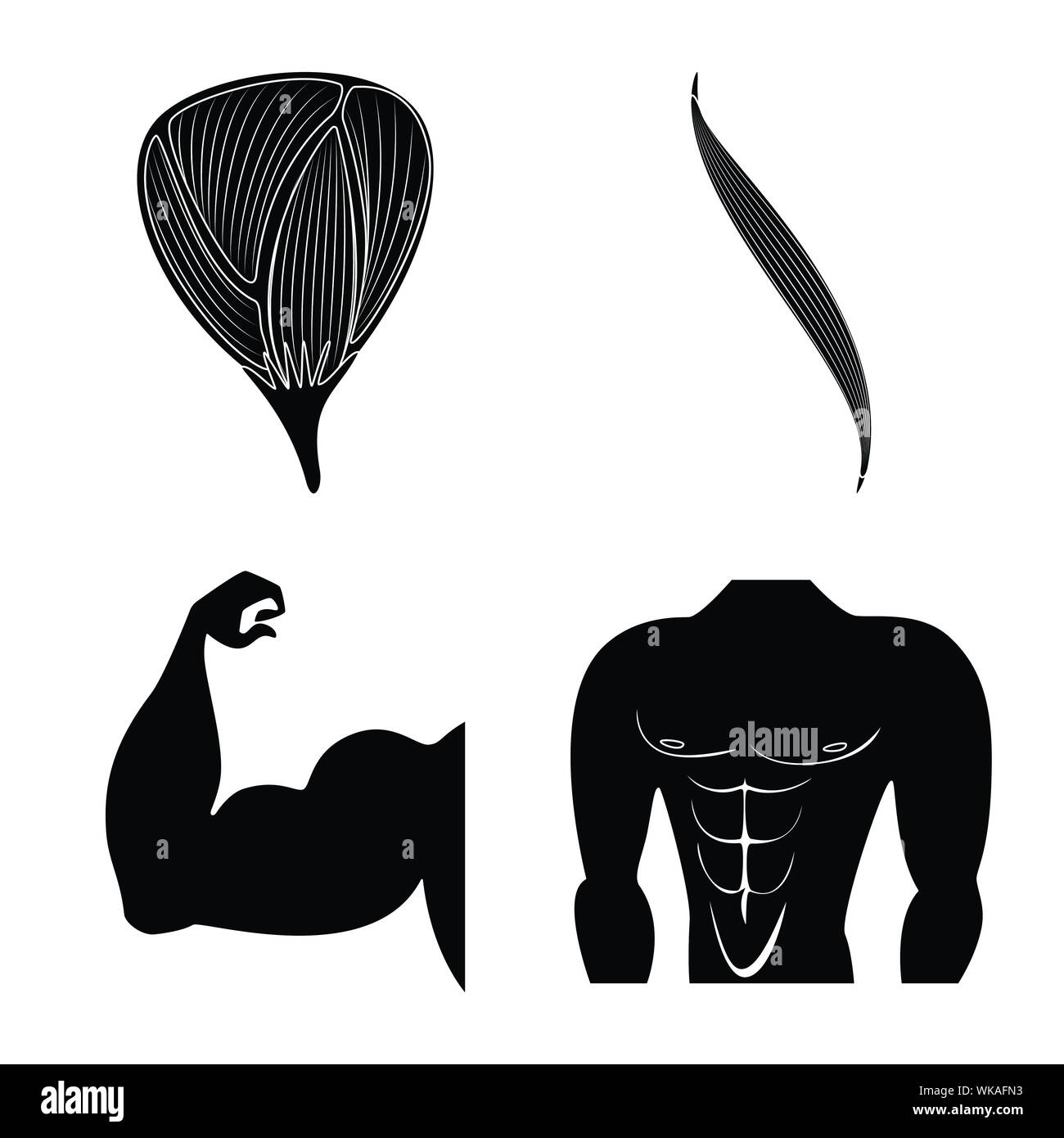 Vector illustration of human and body logo. Collection of human and ...
