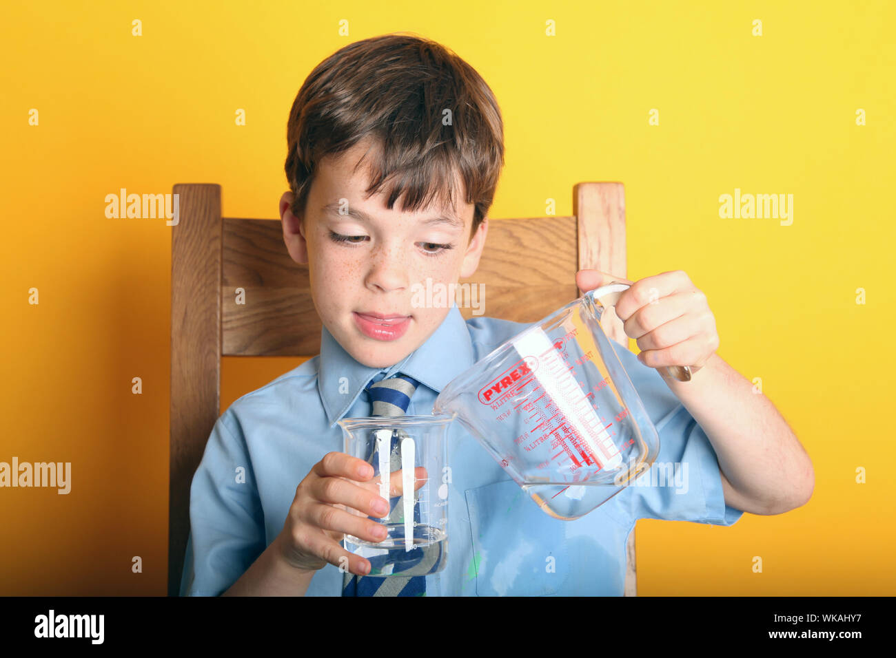 Extracting DNA from a Strawberry School strawberry DNA extraction