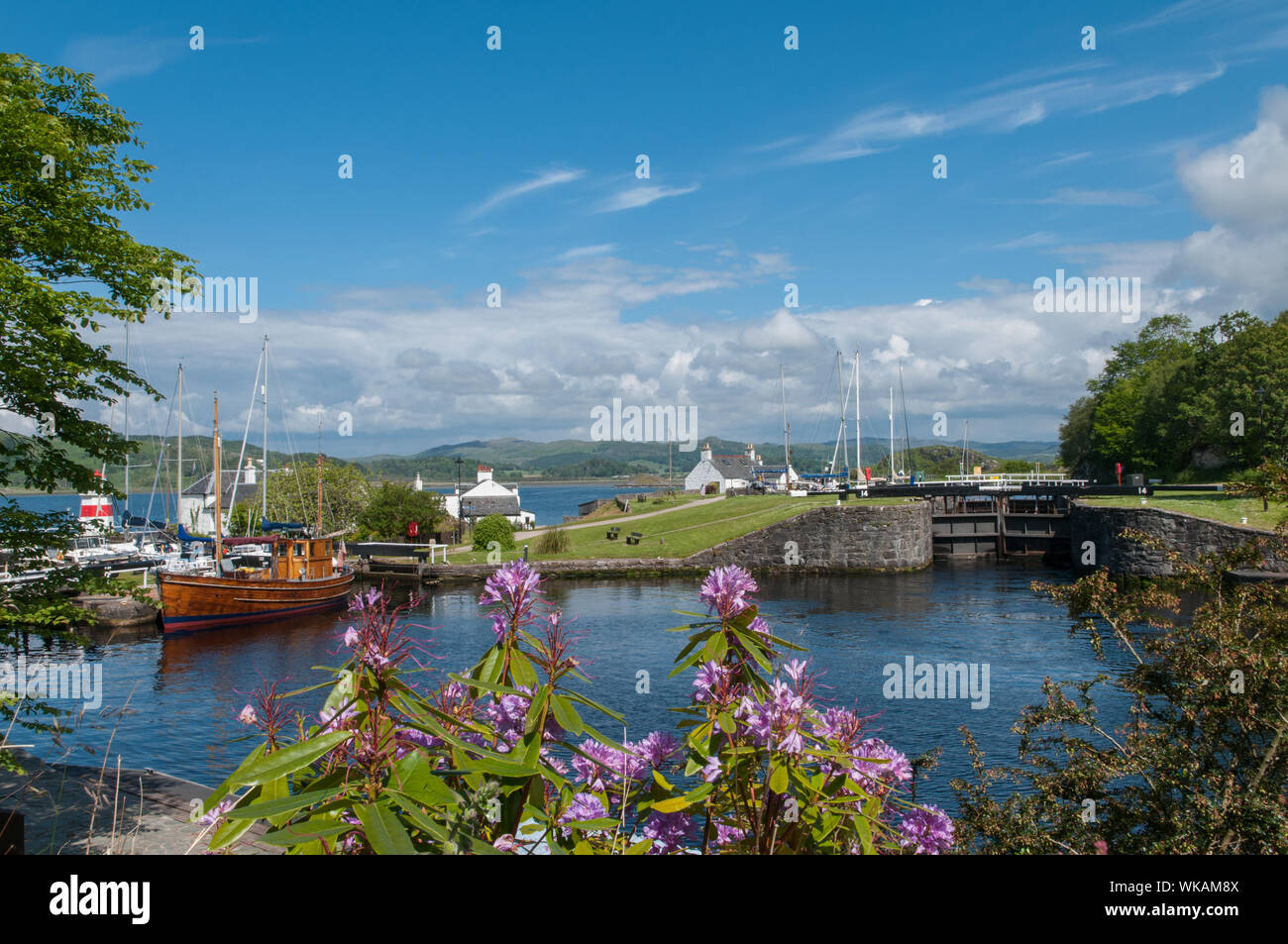 Boat on Crinan Canal Crinan with Rhododendrons Argyll & Bute Scotland Stock Photo