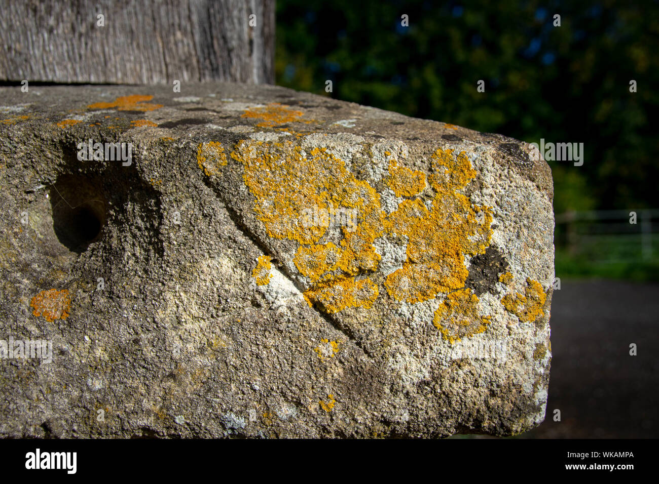 Stone work or stone wall with yellow, white and brown lichen growing over it. Stock Photo
