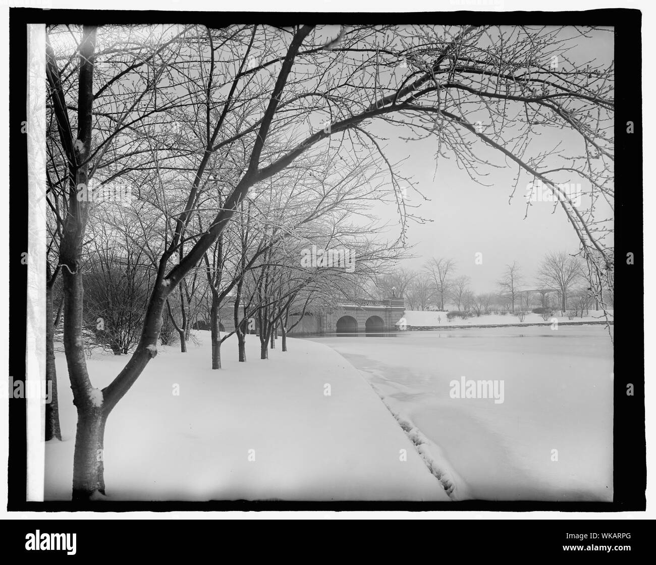 Japanese Cherry Trees Washington D C Winter 1 14 25 Stock Photo Alamy
