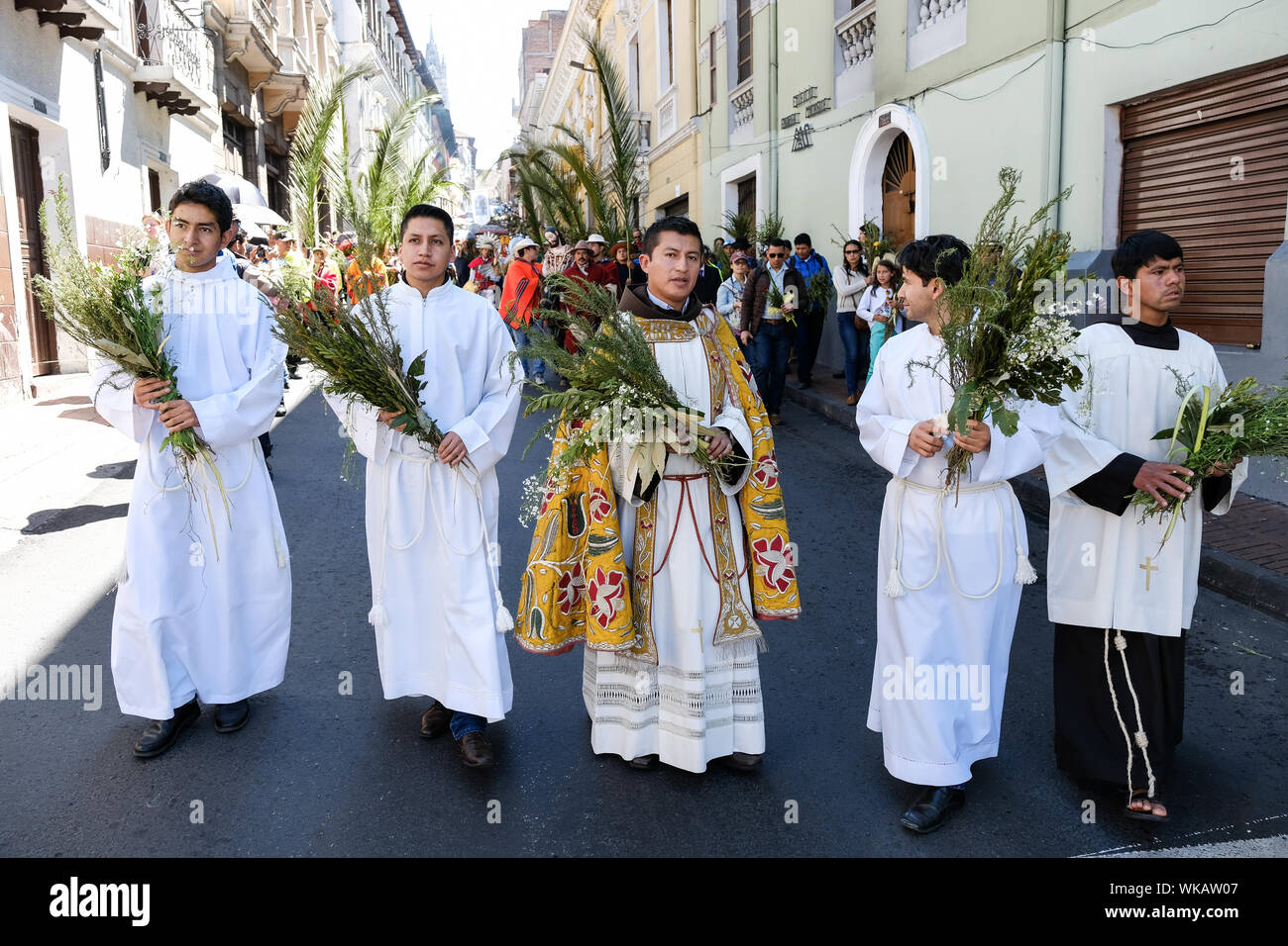 Residents of Quito in Ecuador carry bouquets of leaves and plants as they march through the city's historic centre on the morning of Palm Sunday. The Stock Photo
