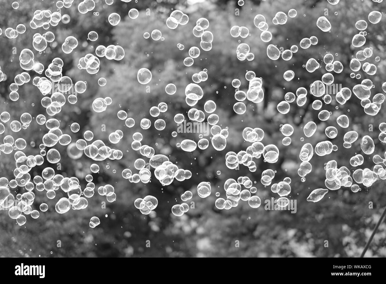Big soap bubble flying Black and White Stock Photos & Images Alamy