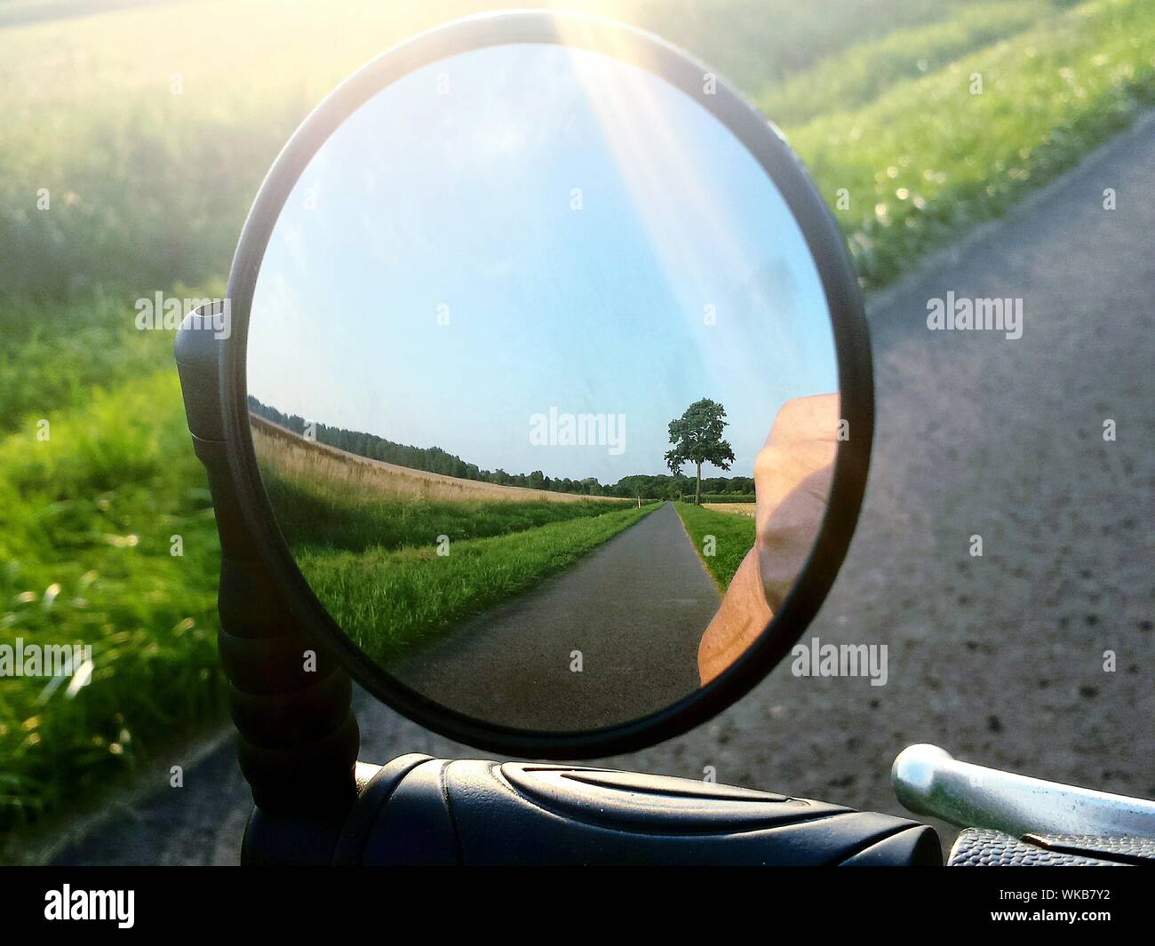 cycle side mirror