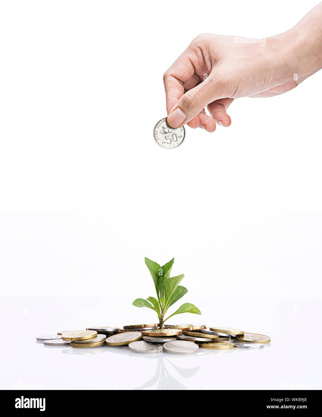 Cropped Hand Of Person Holding Coin Over Plant Stock Photo