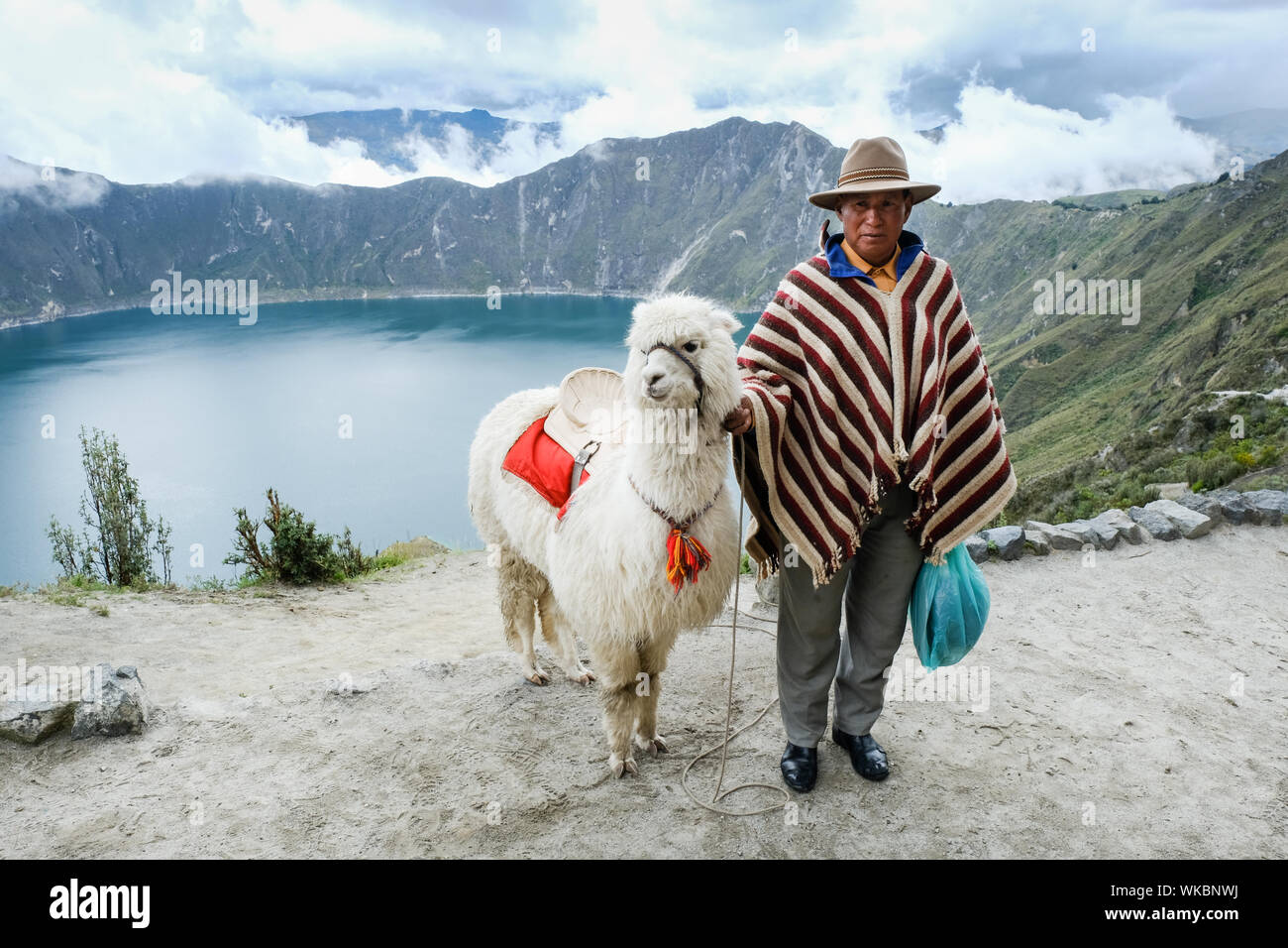 A man with his alpaca stands aside the Quilatoa lake in Pujil’ Canton, Cotopaxi Province, Ecuador.  Quilatoa is a water-filled caldera and the most we Stock Photo