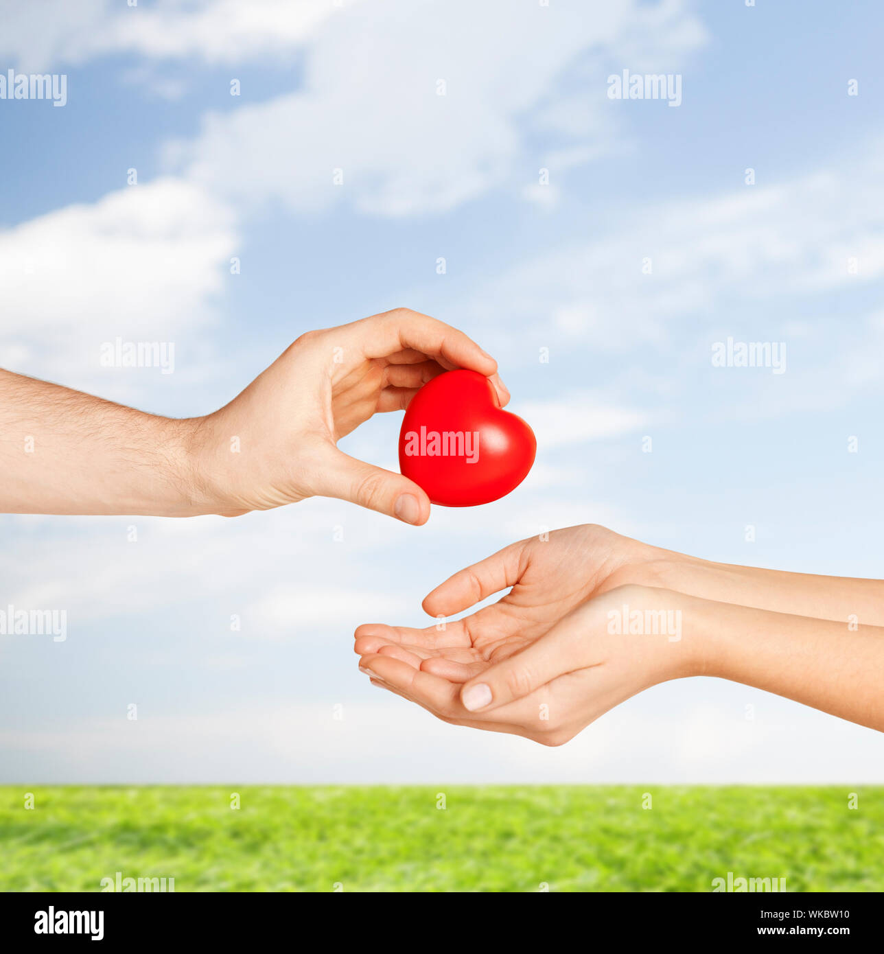 женщина пожала руку маленькой девочке. рука дающая рука принимающая. женская рука. женщина протягивает руку. руки принимают.