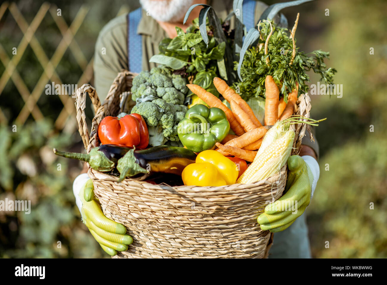 Man vegetables basket hi-res stock photography and images - Alamy