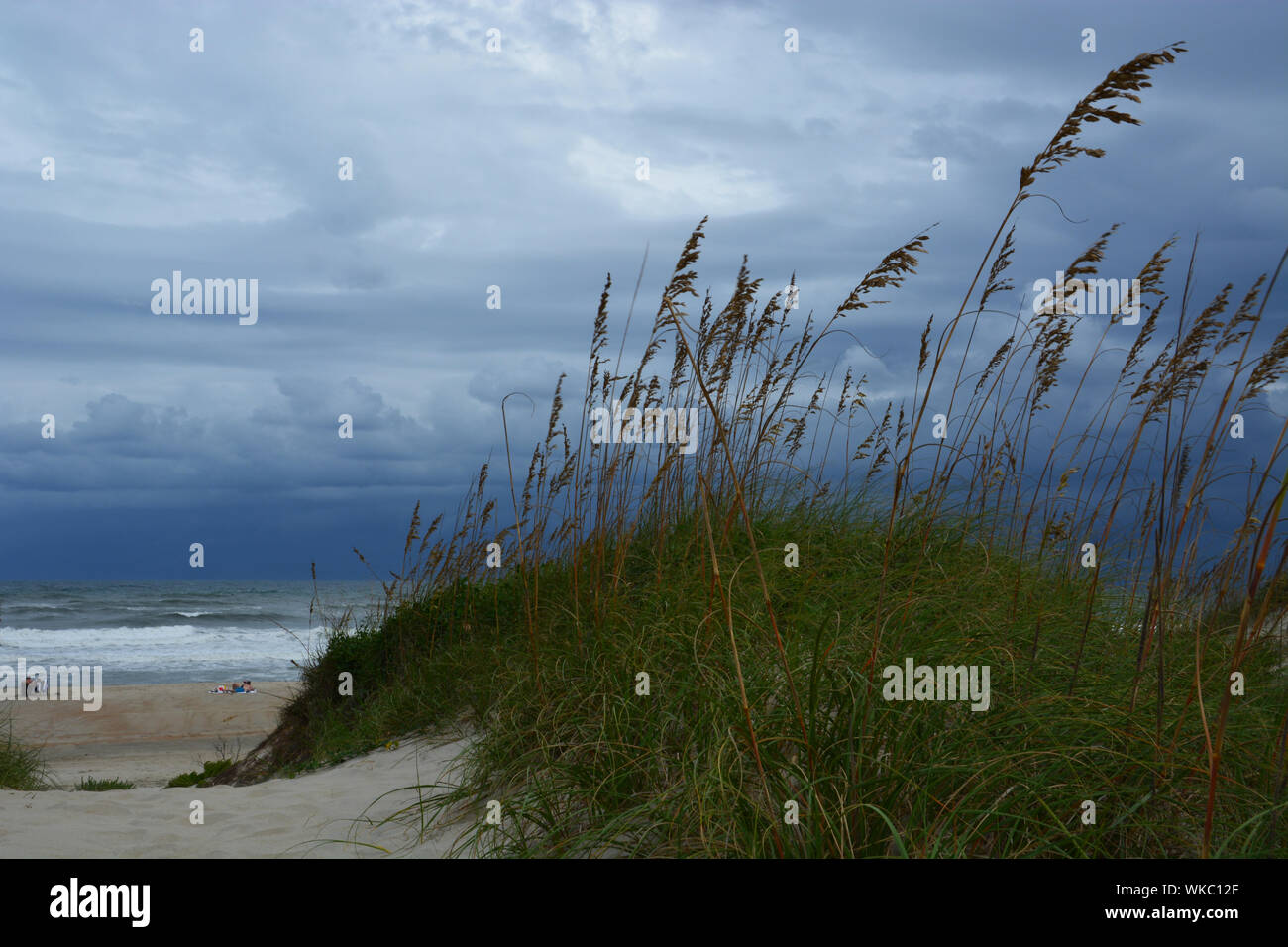 Barrier Island Carolina High Resolution Stock Photography and Images Alamy