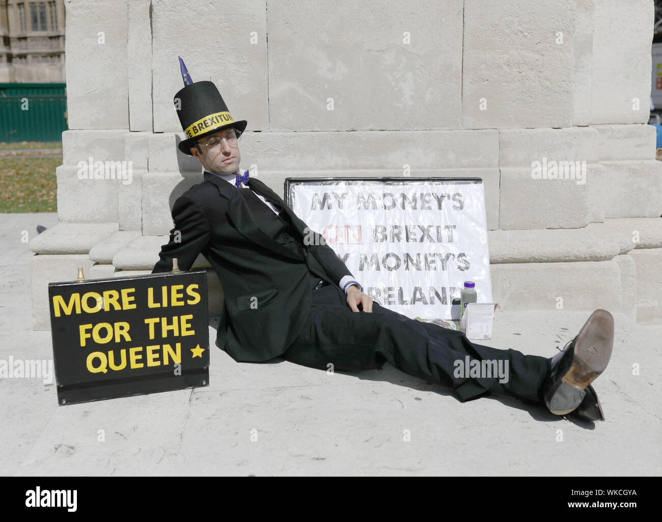 A Brexit protester opposite the Houses of Parliament in Westminster, London. Stock Photo