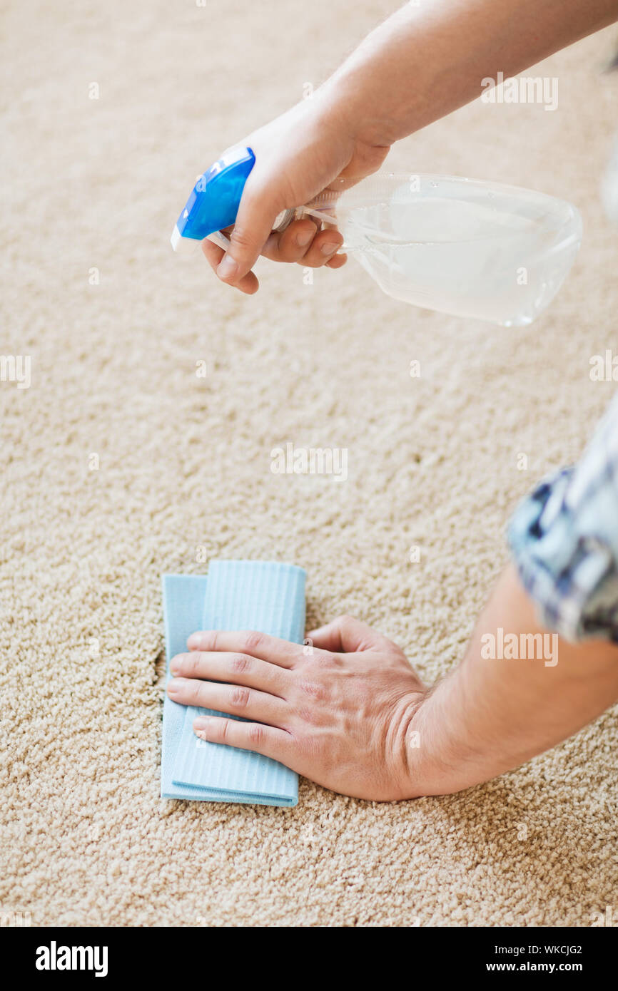 close up of male cleaning stain on carpet Stock Photo Alamy