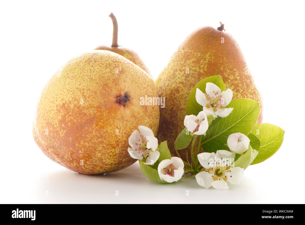 Three ripe pears isolated on white background Stock Photo - Alamy