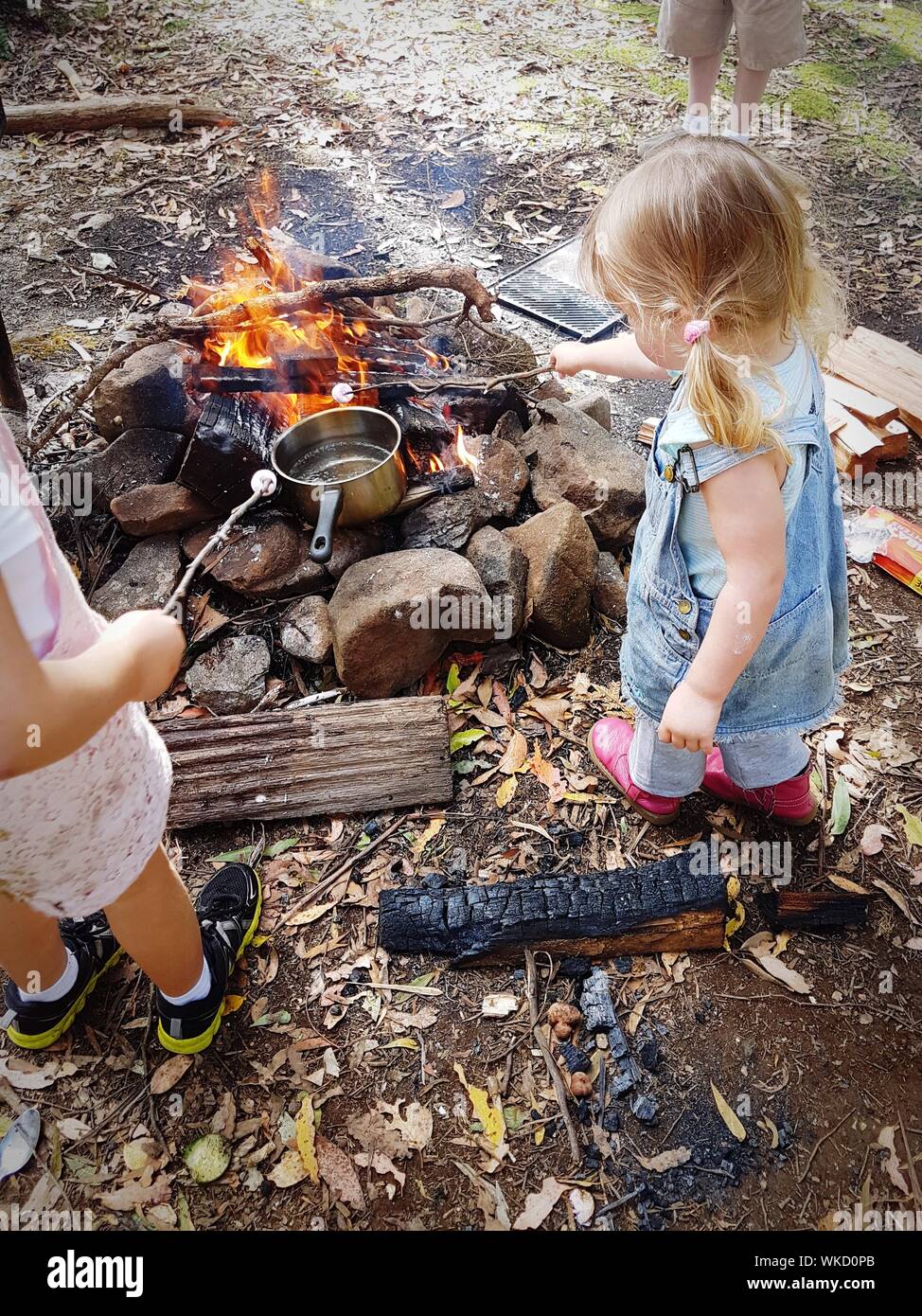 High Angle View Of Siblings Roasting Marshmallows At Campfire On Field Stock Photo