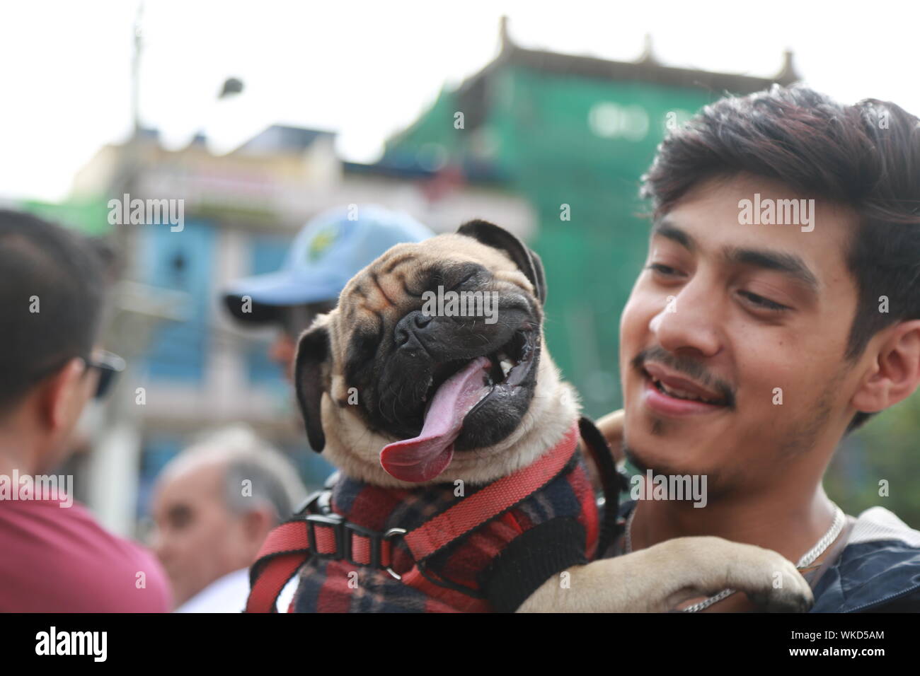 Animal rigts hi-res stock photography and images - Alamy