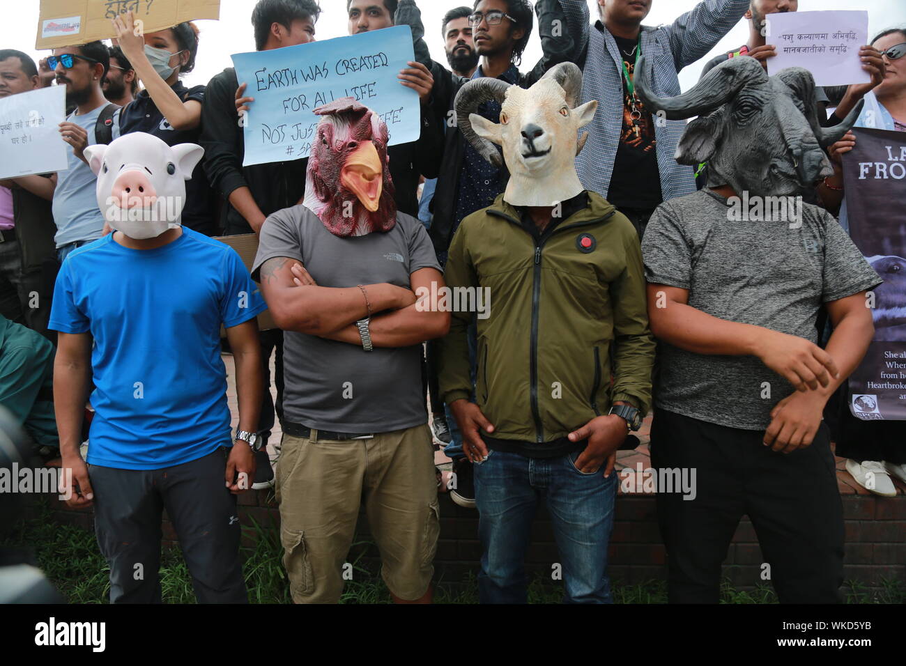 Kathmandu, Nepal. 4 Sept. 2019. Peoples take a part with placard in the animal rigts rally in Kathmandu. Sarita Khadka/Alamy Live News Stock Photo