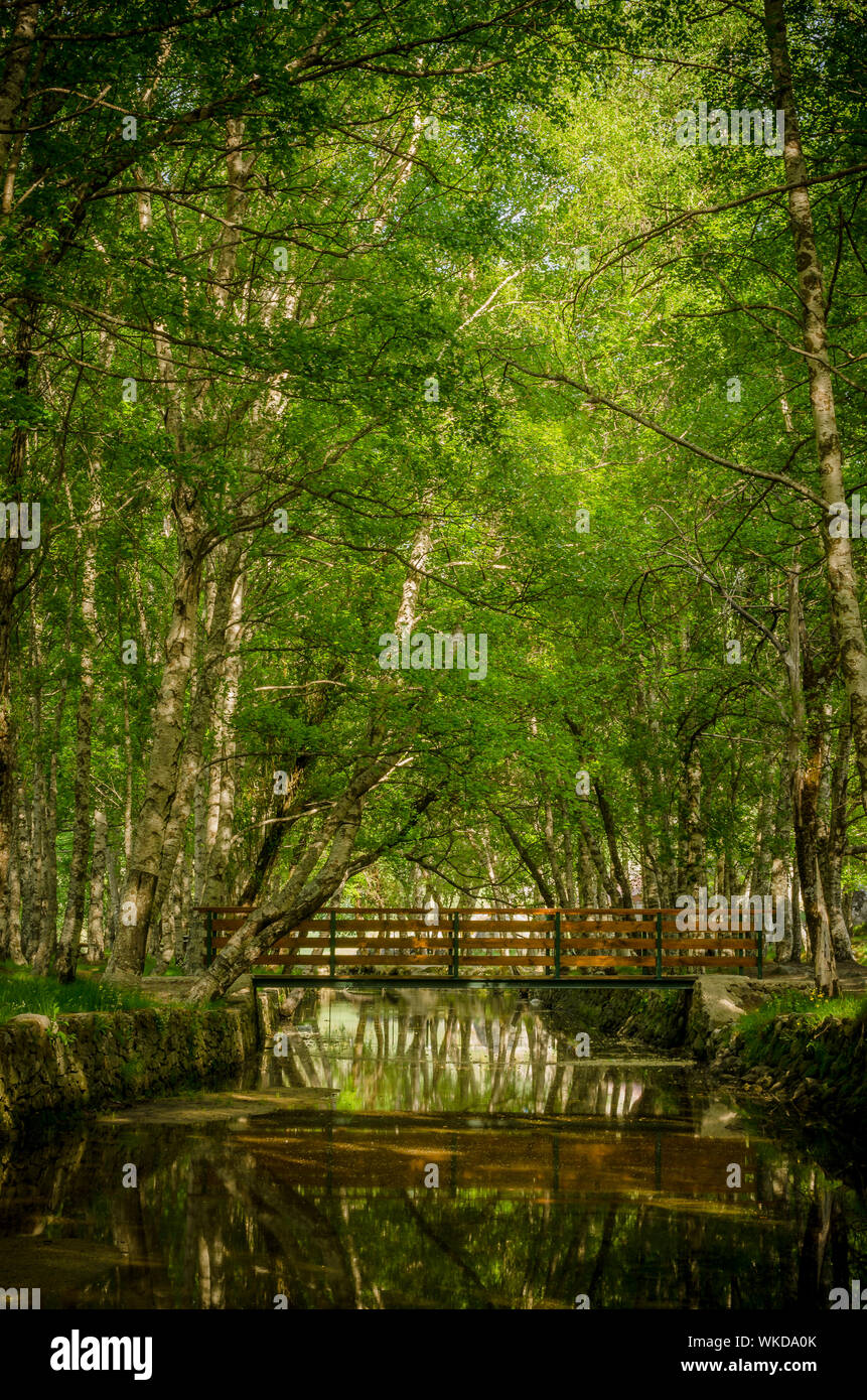 Park Natural serra Estrela - Portugal. Stock Photo