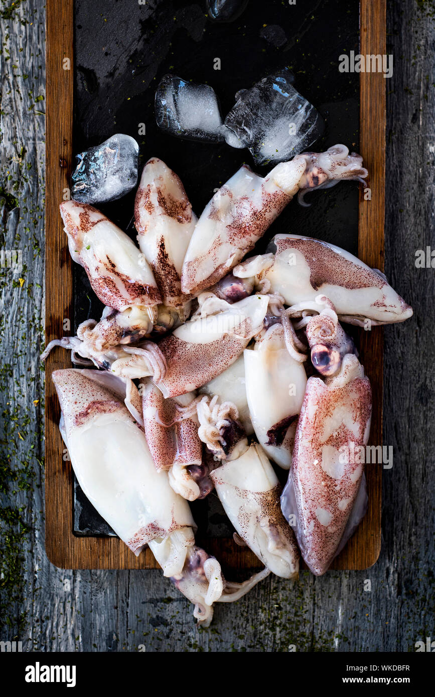 high angle view of some raw chipirones, Spanish small squids, surrounded by crushed ice, on a wooden and black slate tray, placed on a gray rustic woo Stock Photo