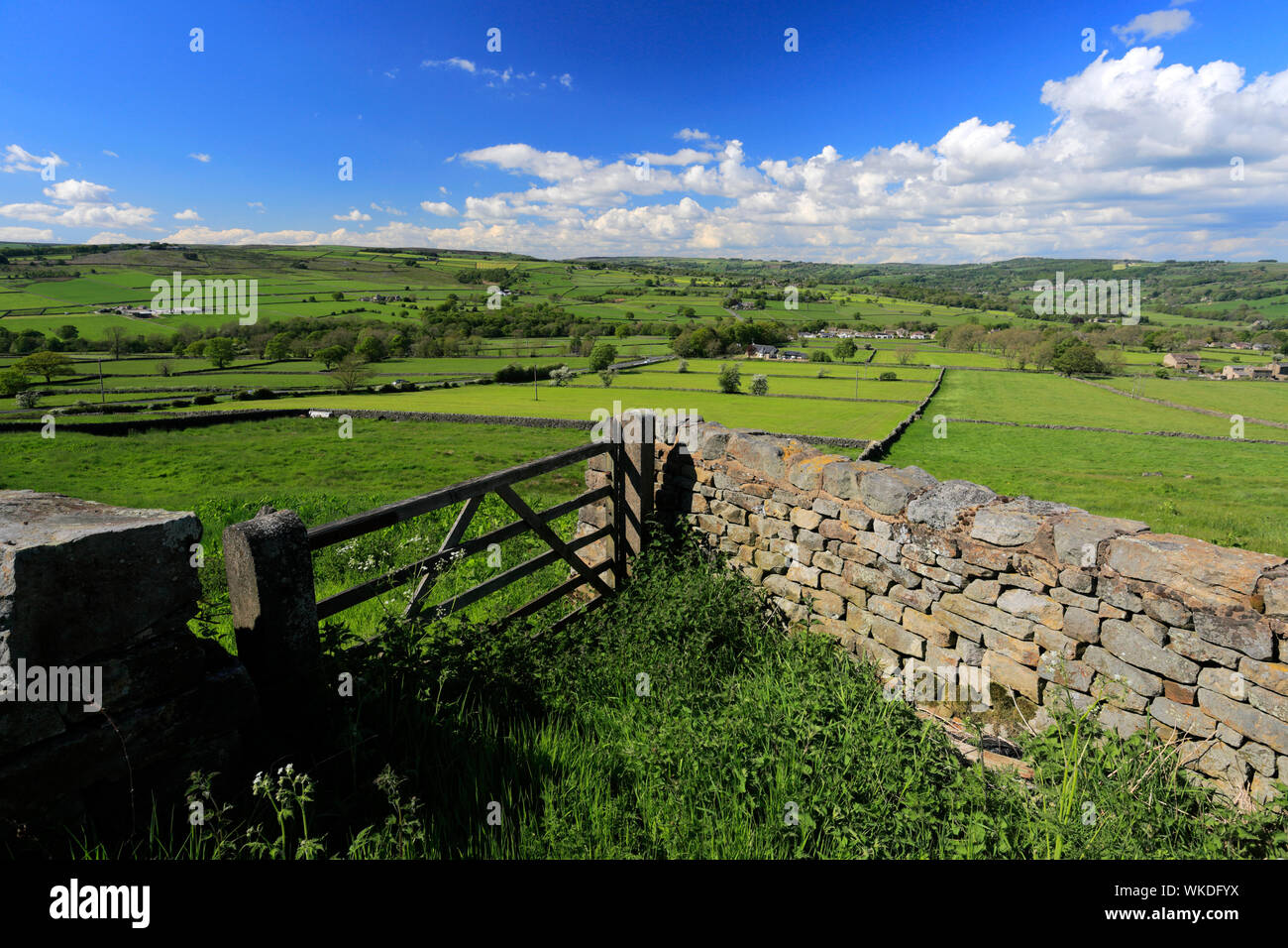 View over the River Nidd valley near Summerbridge village, Nidderdale, Harrogate district, North Yorkshire, England. Stock Photo
