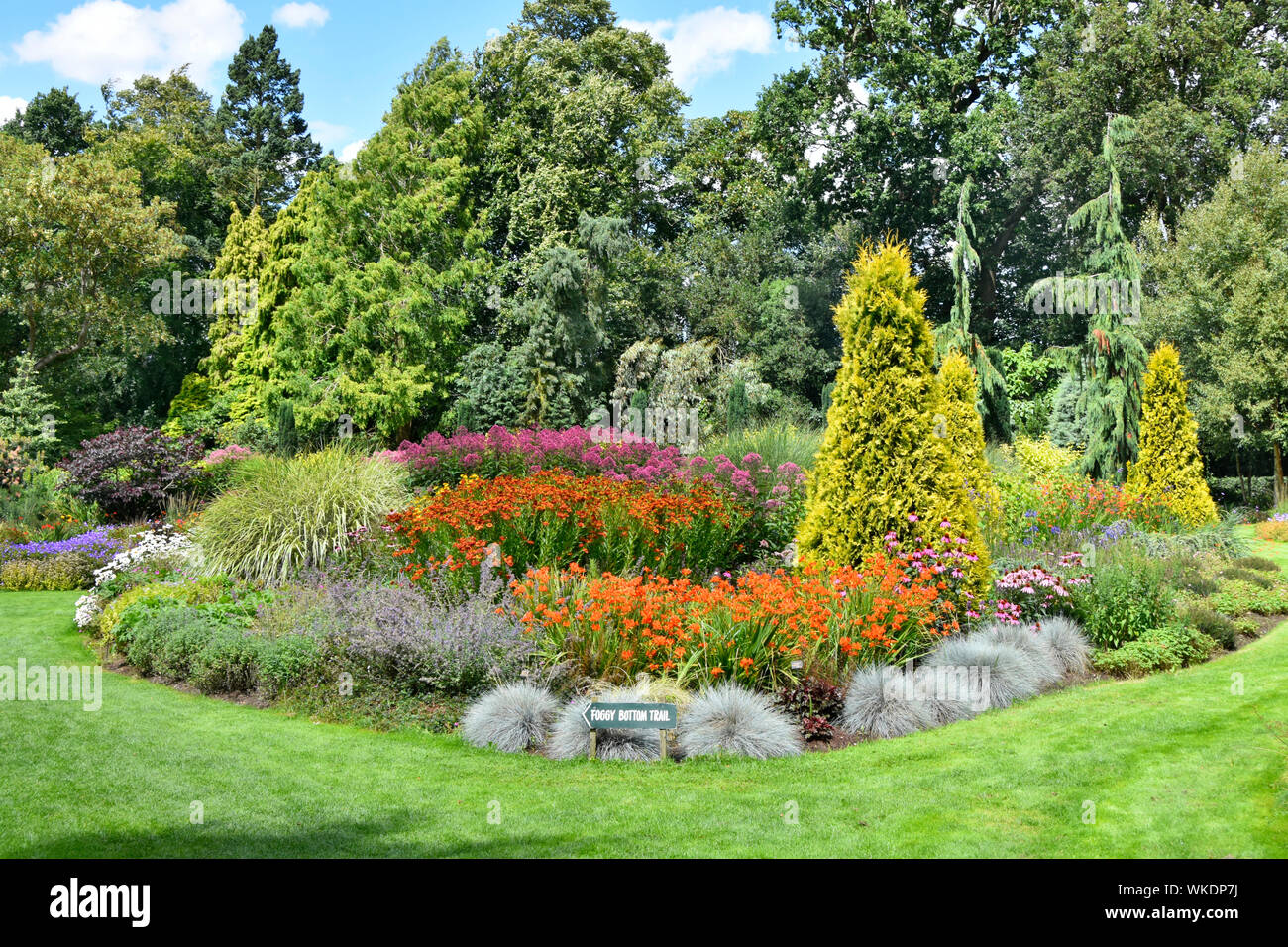 Diss Norfolk East Anglia summer view Alan Bloom formal English country flower garden set in lawns with plants trees & conifers Bressingham England UK Stock Photo