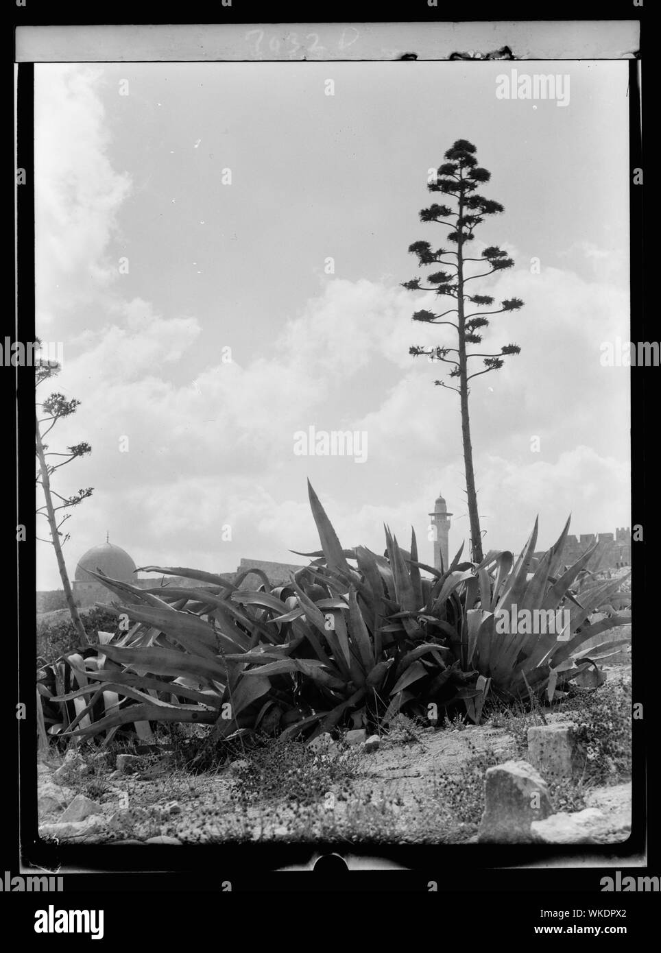 Jerusalem, Olivet, Mt. Zion Stock Photo Alamy