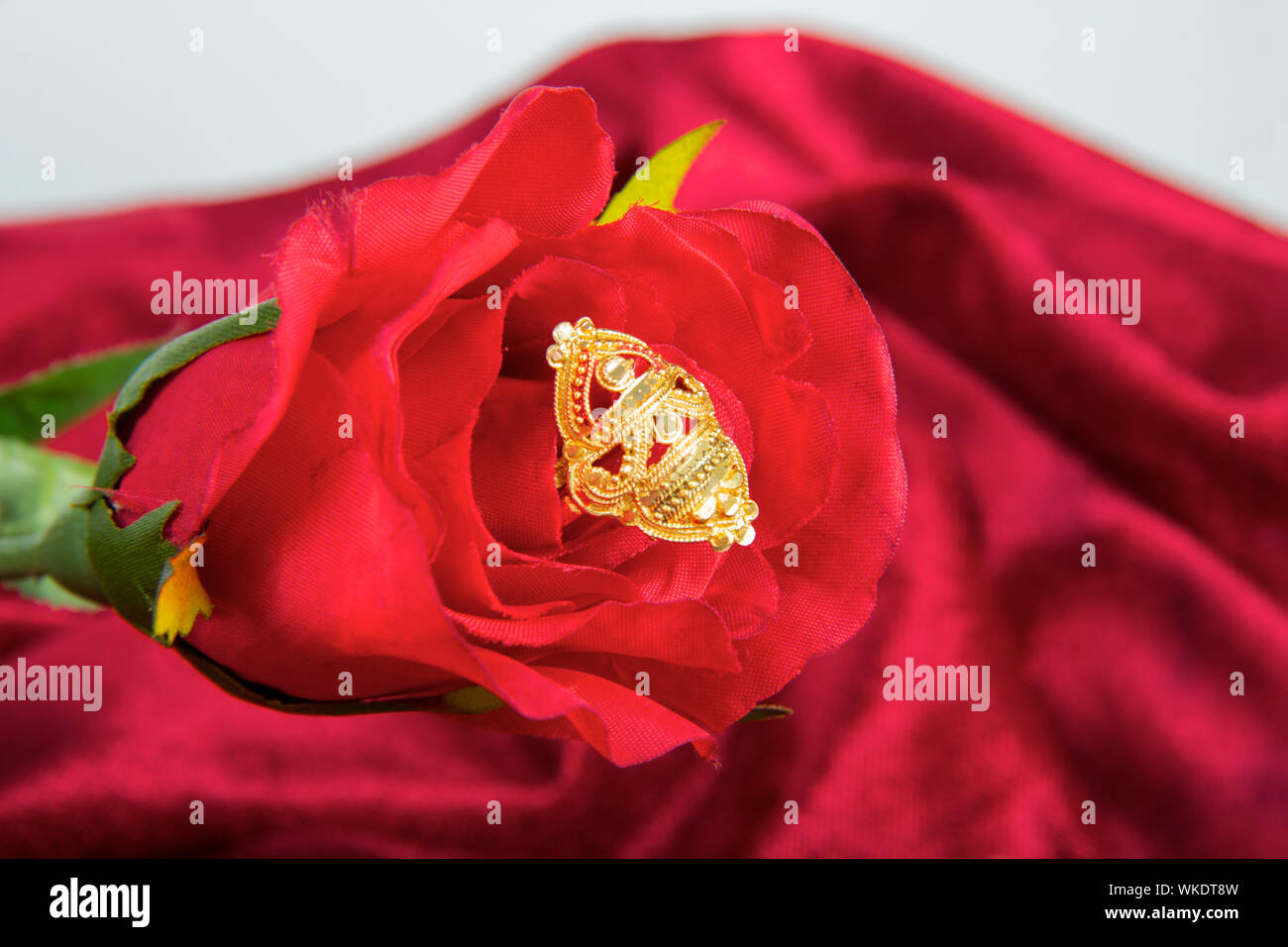 Close up of a rose with ring Stock Photo