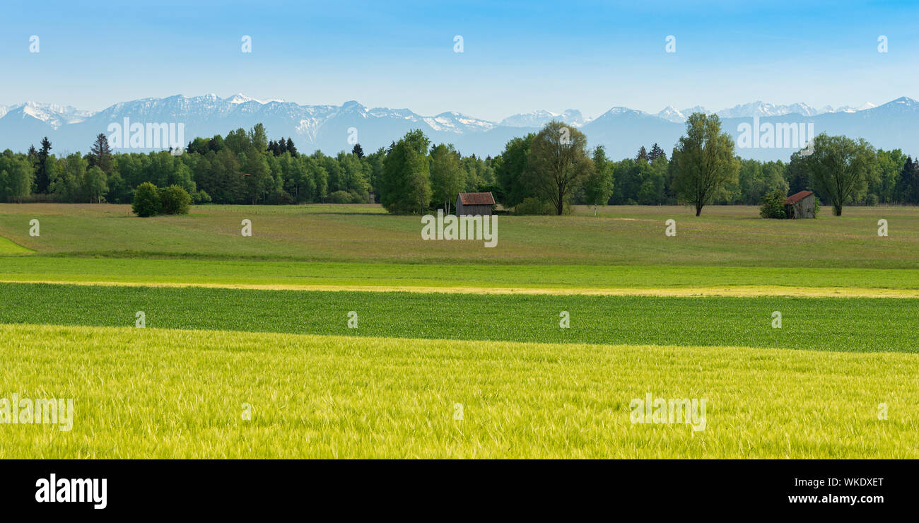 Panoramic scenic Alpine view with fresh spring meadows and snowy mountain peaks in Bavarian farm region Stock Photo