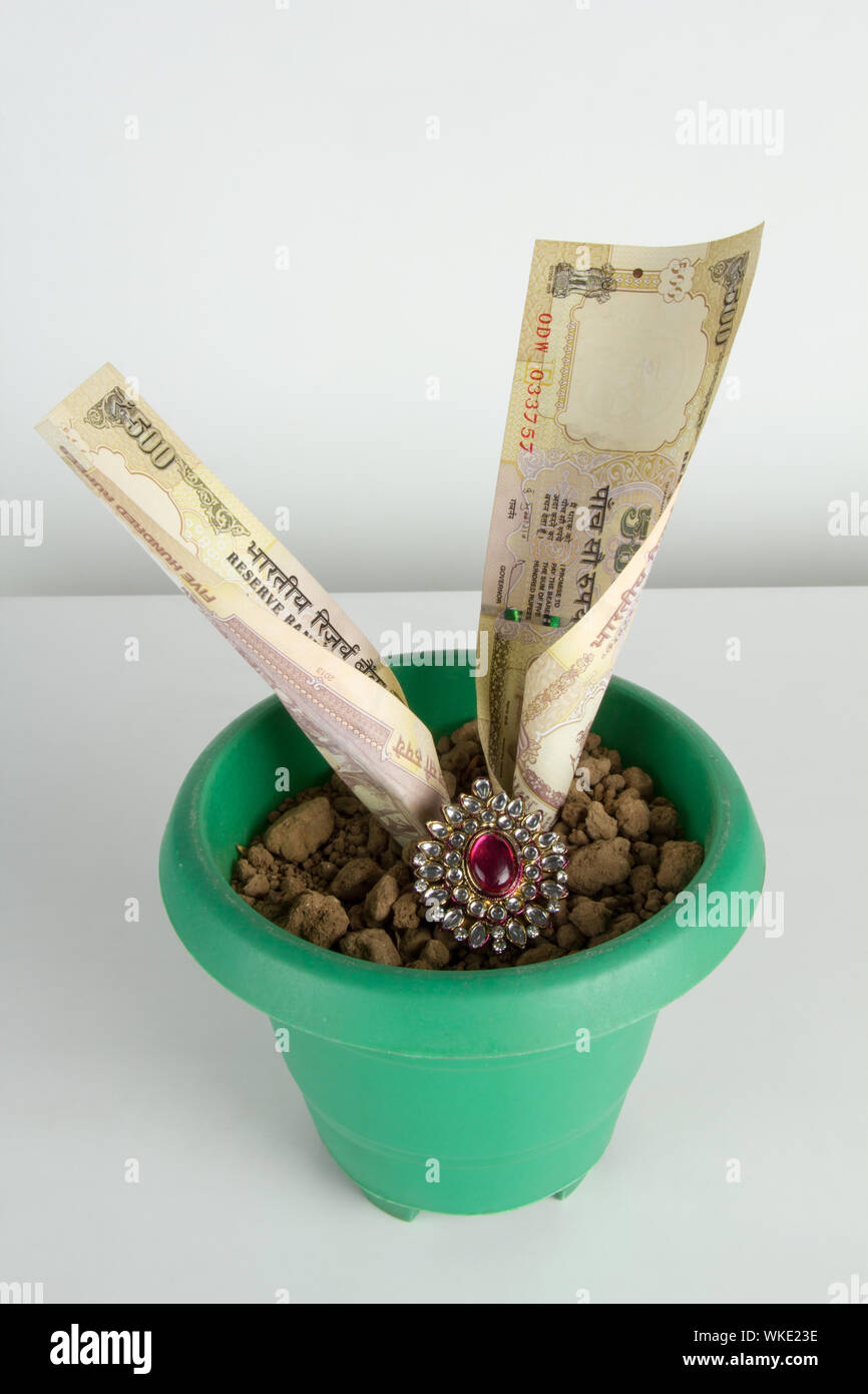 Money growing in a pot with ring Stock Photo