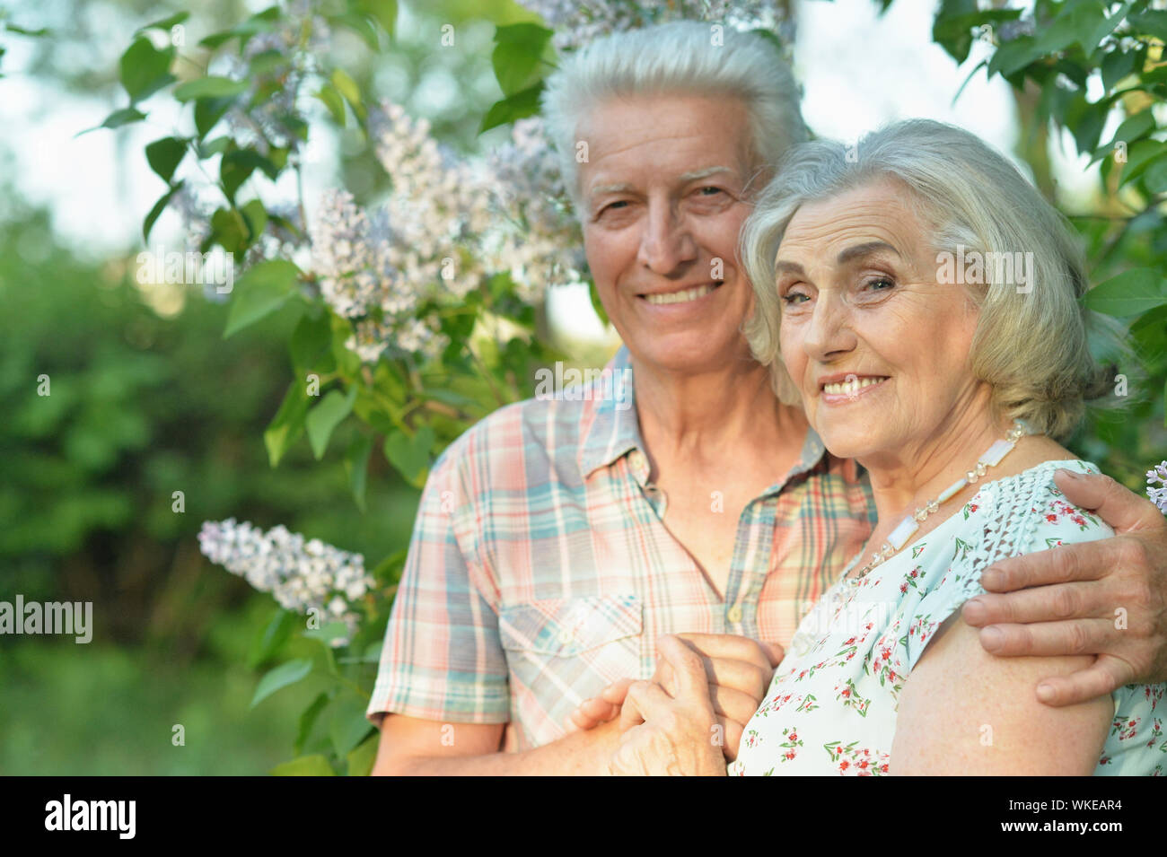 Beautiful senior couple posing in the summer park Stock Photo - Alamy