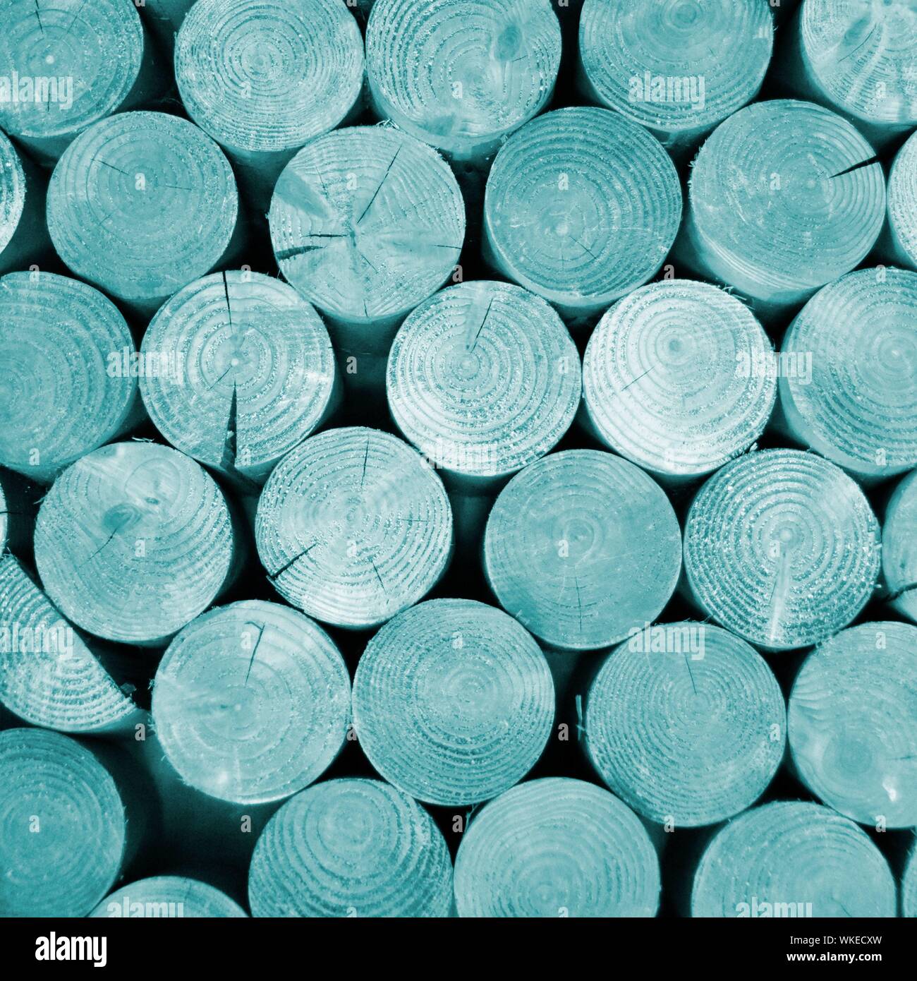 Manipulated colour applied to ends of stacked sawn tree timber logs to create abstract background pattern image of round shapes and circles England UK Stock Photo